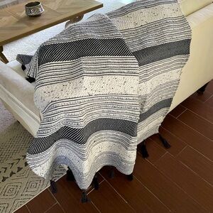Kirklands 48 inch by 62 inch tassel throw